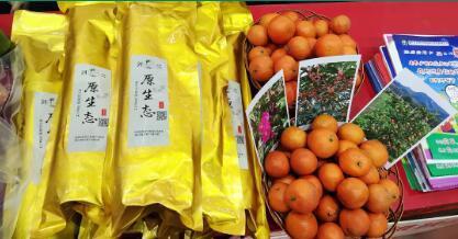 資源縣電商年貨狂歡節 實現初級農產品、產銷方與精準扶貧的'一舉三贏'