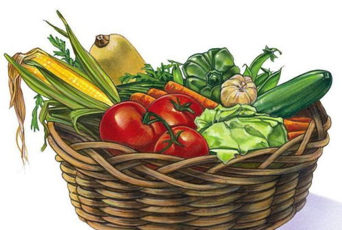 放心菜籃子 直采高原優質蔬菜，豐富島城餐桌