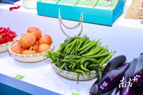 茂南優質土特產熱銷廣東農博會，交易額突破20萬元