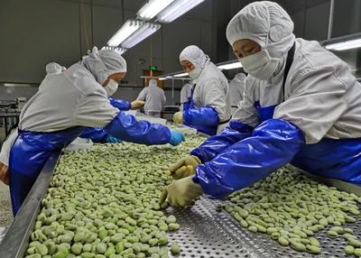 江蘇如東 以“三農”經濟增長點激活鄉村動能 千里沃野開啟“美顏”模式