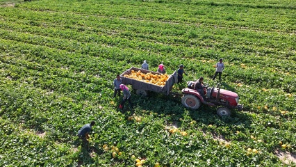 從“一棵好苗”到“一桌好菜” 初級農產品的華麗轉身